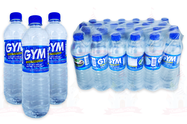 AGUA GYM 24/500 ML.